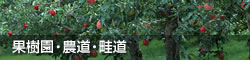 果樹園・農道・畦道