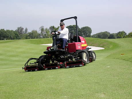 タナメラCCで活躍する軽量5連リールモア SR525