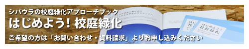はじめよう！校庭緑化