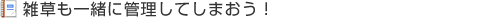 雑草も一緒に管理してしまおう！