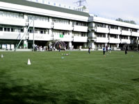 写真：永福南小学校