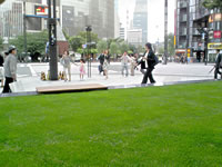 東京都　校庭芝生化キャンペーン