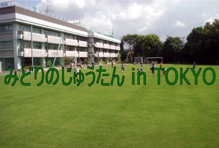 緑のじゅうたん in TOKYO
